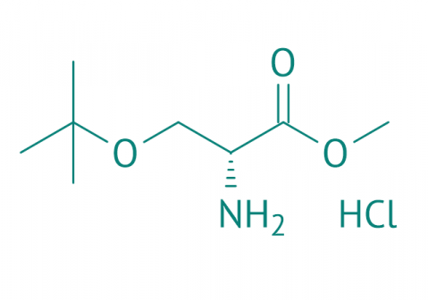 H-D-Ser(tBu)-OMe  HCl, 98% 