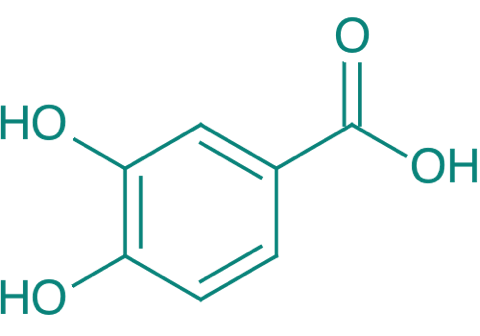 3,4-Dihydroxybenzoesure, 98% 