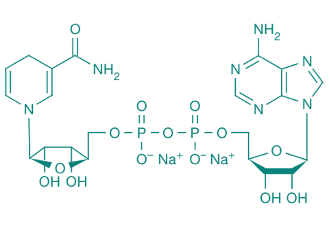 NADH Na2, 95% 