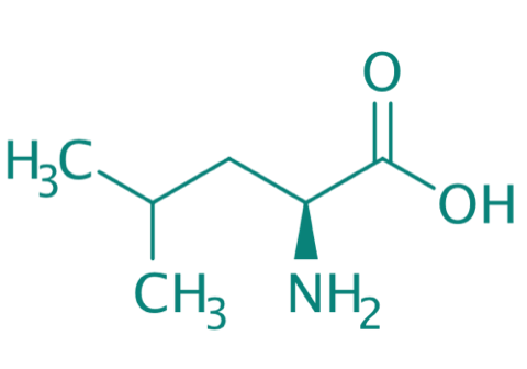 L-Leucin, 98% 