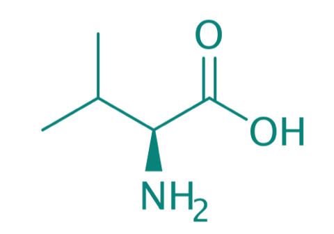 L-Valin, 98% 
