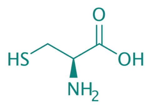 L-Cystein, 98% 