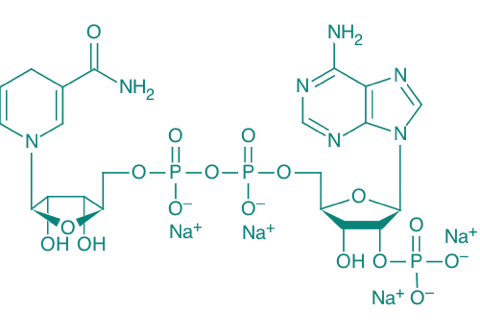 NADPH Na4, 95% 