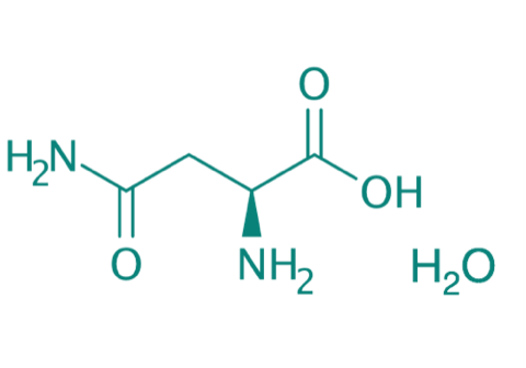 L-Asparagin Monohydrat, 98% 