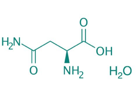 L-Asparagin Monohydrat, 99% 