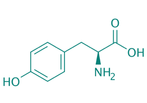 L-Tyrosin, 98% 