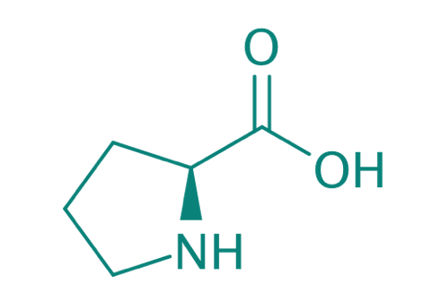 L-Prolin, 98% 