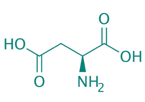 L-Asparaginsure, 98% 