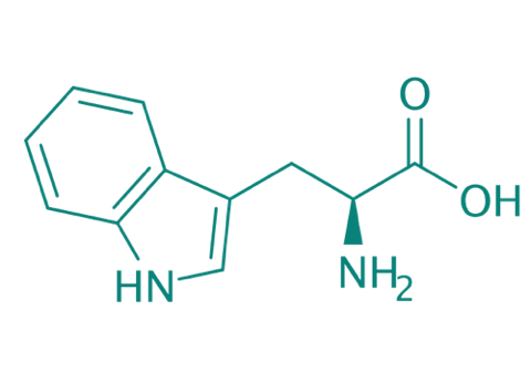 L-Tryptophan, 98% 