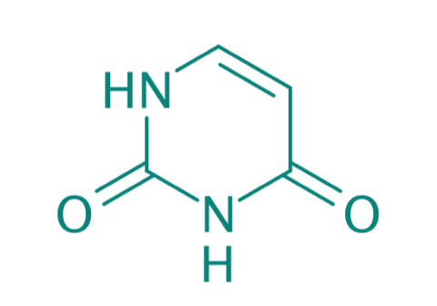 Uracil, 98% 