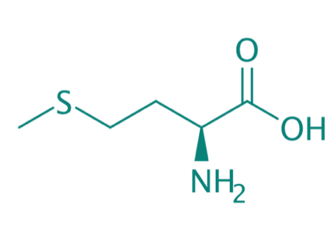 L-Methionin, 98% 