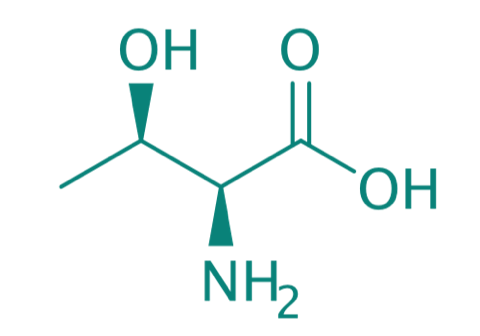 L-Threonin, 98% 