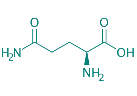 L-Glutamin, 98% 