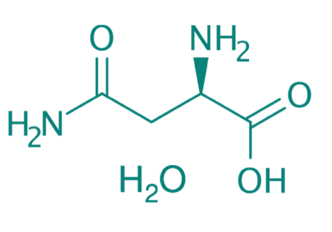 D-Asparagin Monohydrat, 98% 