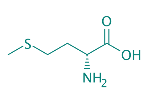 D-Methionin, 98% 