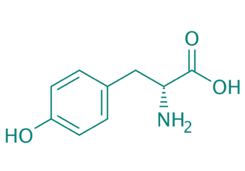 D-Tyrosin, 98% 