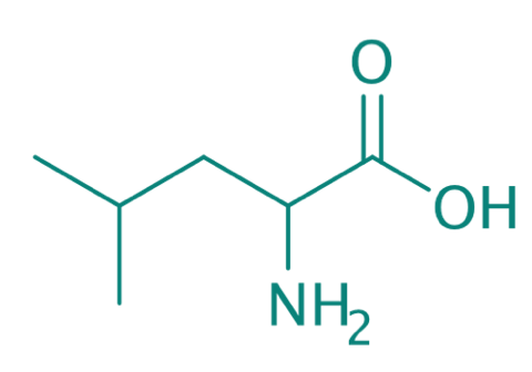 DL-Leucin, 98% 