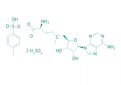 S-Adenosylmethionin Disulfat Tosylat, 95% 