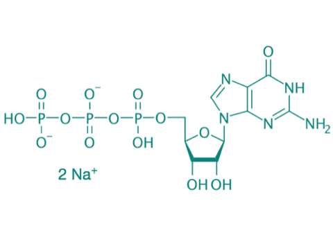 Guanosin-5'-triphosphat Dinatriumsalz, 89% 