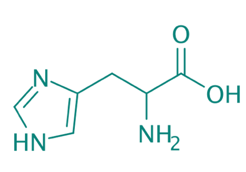 DL-Histidin, 98% 
