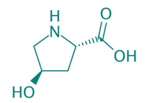 trans-L-4-Hydroxyprolin, 97% 