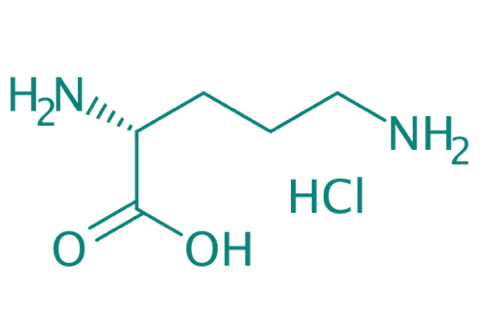 D-Ornithin Hydrochlorid, 98% 