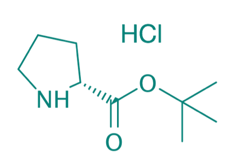 H-D-Pro-OtBu HCl, 98% 