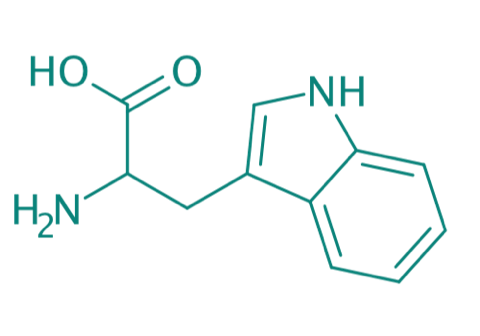 DL-Tryptophan, 98% 