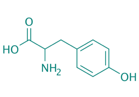 DL-Tyrosin, 98% 