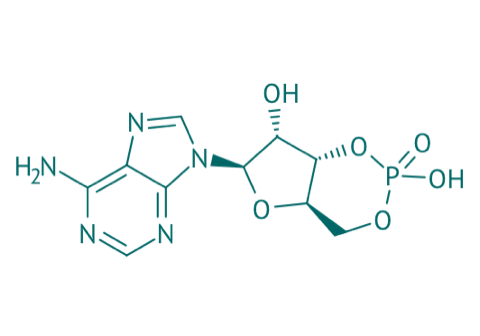 Adenosin-3',5'-cyclophosphat, 98% 