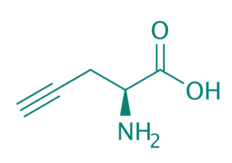 L-Propargylglycin, 97% 