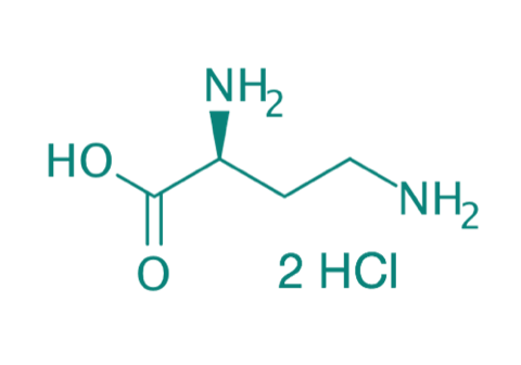 L-2,4-Diaminobuttersure 2HCl, 98% 