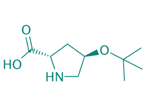 H-Hyp(tBu)-OH, 97% 