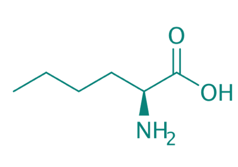 L-Norleucin, 97% 