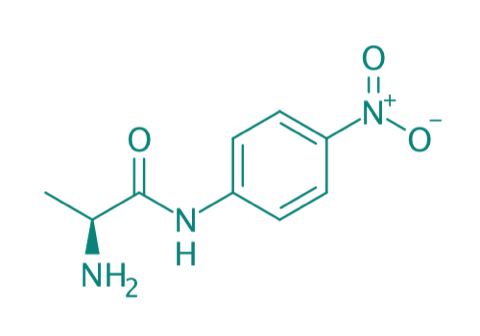 H-Ala-pNA HCl, 98% 