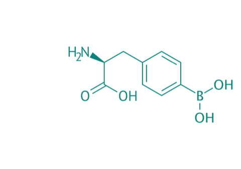 4-Borono-L-phenylylanin, 95% 