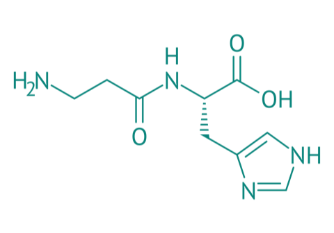 L-Carnosin, 98% 