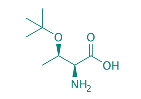 H-Thr(tBu)-OH, 97% 