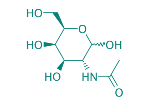 N-Acetyl-D-galactosamin, 95% 