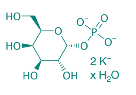 alpha-D-Galactose-1-phosphat 2K H2O, 99% 