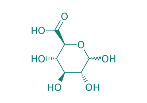 D-Glucoronsure, 98% 