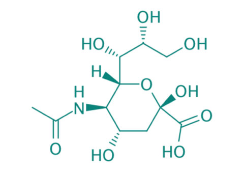 N-Acetylneuraminsure, 97% 