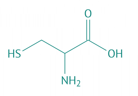 6-Fluorindol, 98% 