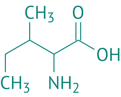 DL-Isoleucin, 98% 