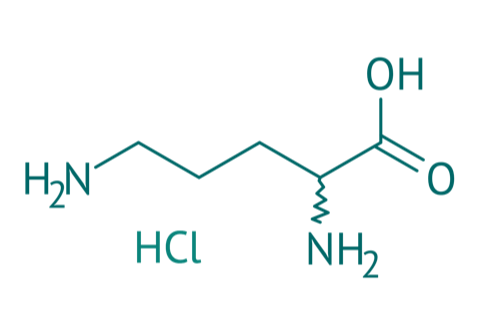 DL-Ornithin HCl, 96% 