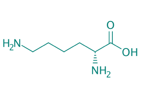 D-Lysin, 95% 