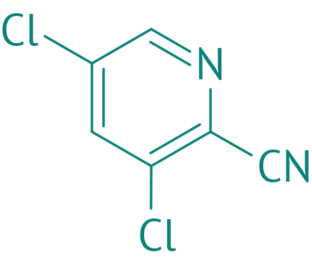 3,5-Dichlorpicolinonitril, 97% 