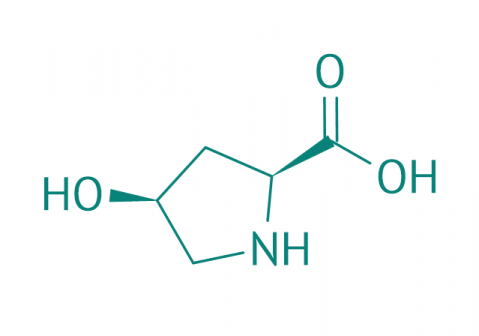 cis-L-4-Hydroxyprolin, 98% 