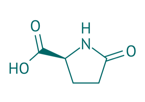 L-Pyroglutaminsure, 98% 