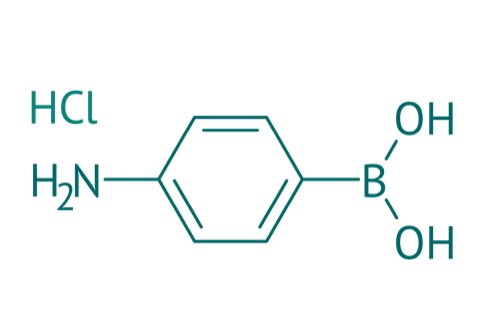 4-Aminophenylboronsure HCl, 98% 
